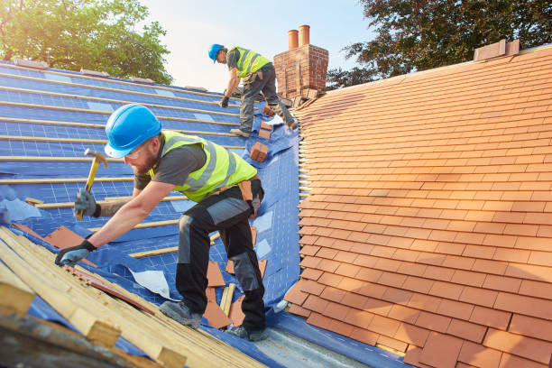 Best Roof Insulation Installation  in Millersville, TN